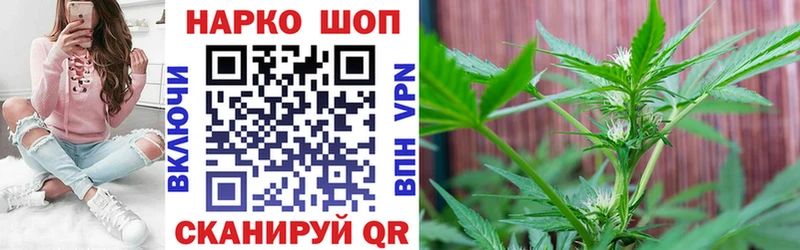 Где продают наркотики Зеленоградск Конопля Альфа ПВП ГАШ
