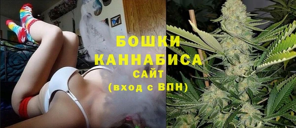 apvp Белокуриха