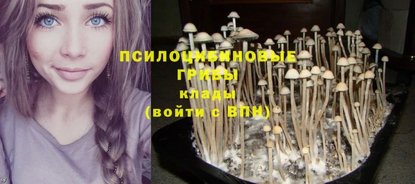 молекула духа Беломорск