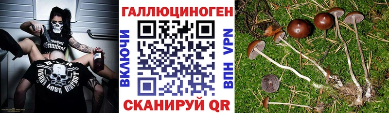 Псилоцибиновые грибы мухоморы Зеленоградск